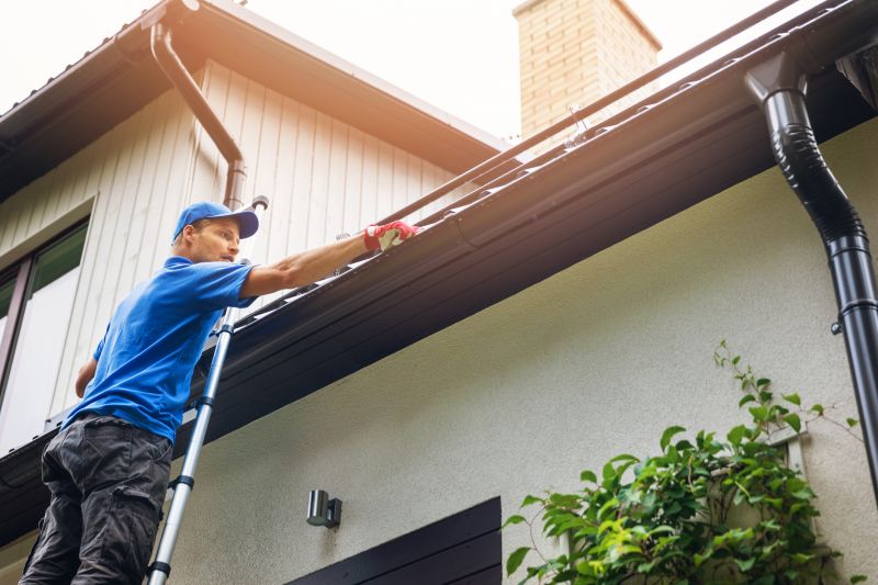 Gutter Cleaning detail