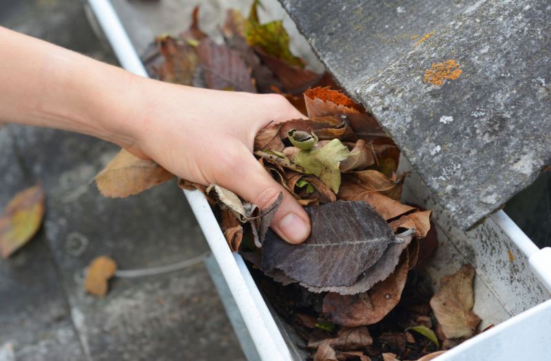 Removing Debris from Gutters