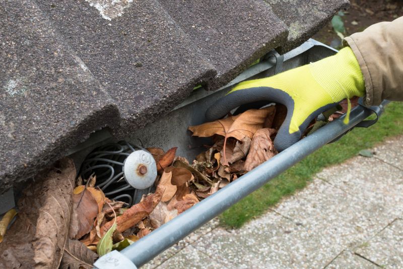 Professional Gutter Service