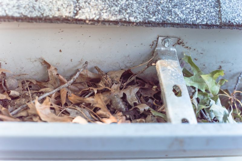 Clearing Gutter Debris