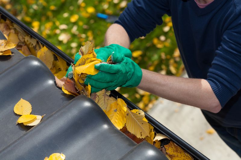 Leaf Gutter Cleaning
