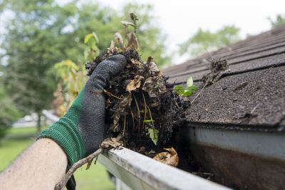 Cost of Professional Gutter Cleaning