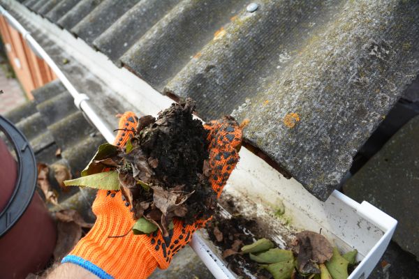 Seamless Gutter Cleaning in Ankeny