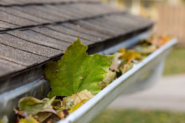 Commercial Downspout Cleaning in Ankeny