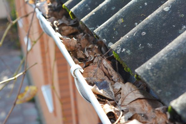 Home Gutter Cleaning in Ankeny