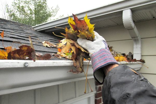 House Gutter Cleaning in Ankeny