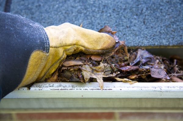 Jammed Gutter Cleaning in Ankeny