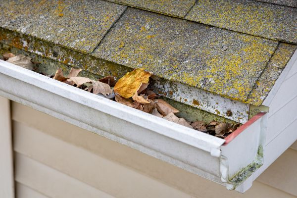 Garage Gutter Cleaning in Ankeny