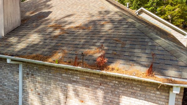 Gutter Pine Needle Removal in Ankeny